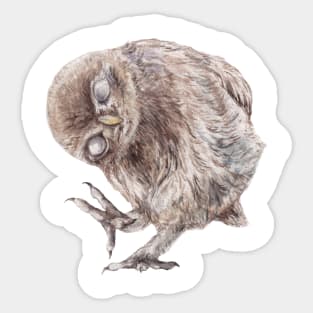 Funny Little Owl Sticker